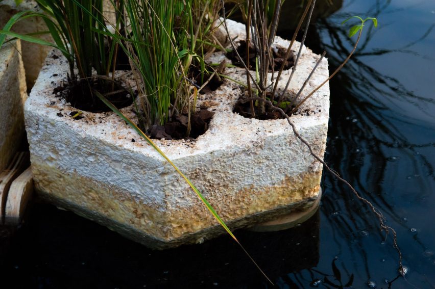 RISD students pioneer floating mycelium pods_1