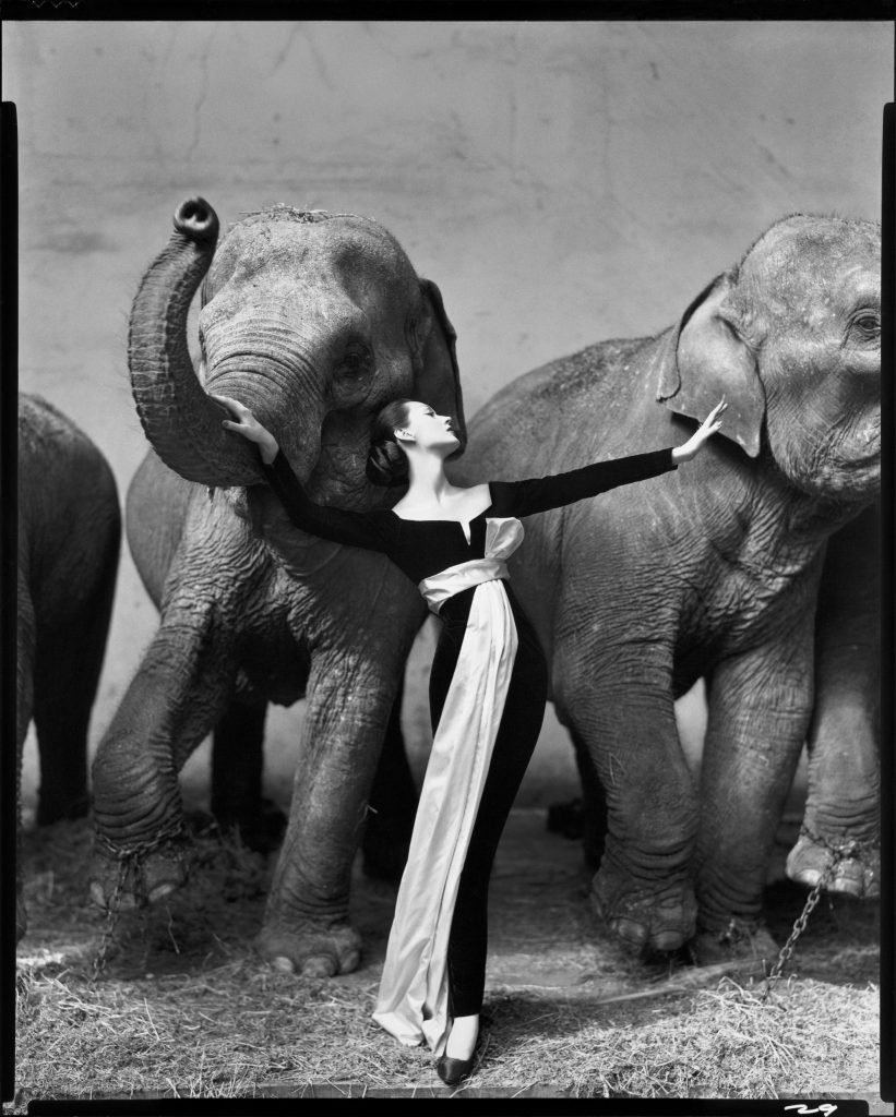 RICHARD AVEDON, Dovima with elephants, evening dress by Dior, Cirque d'Hiver, Paris, August, 1955. 
