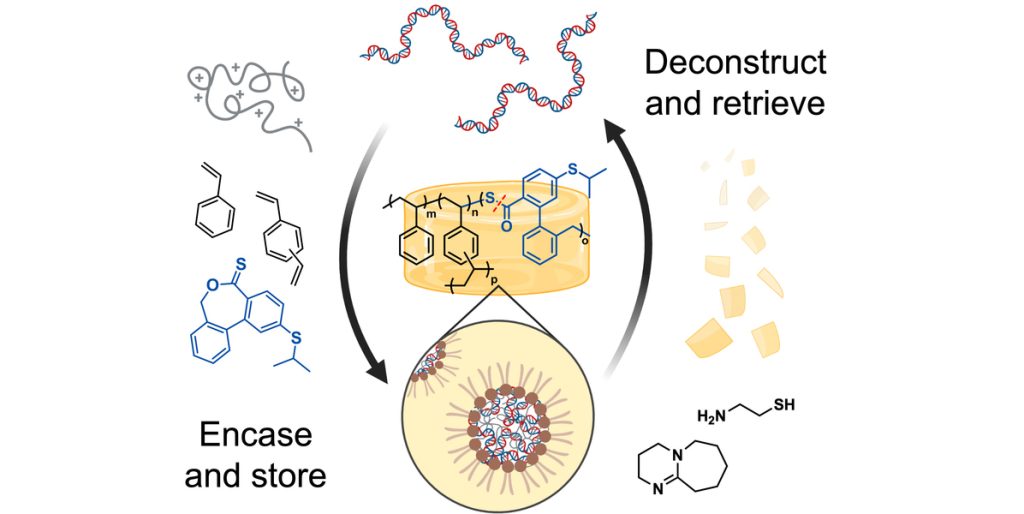 Innovative polymer for DNA storage-1