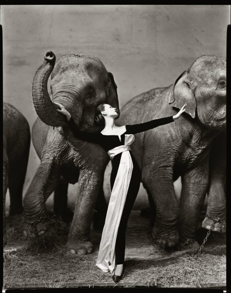 DovimawithelephantseveningdressbyDiorCirquedHiverParisAugust1955 102.1